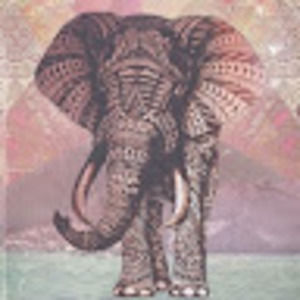 Meet your Posher, Aisha